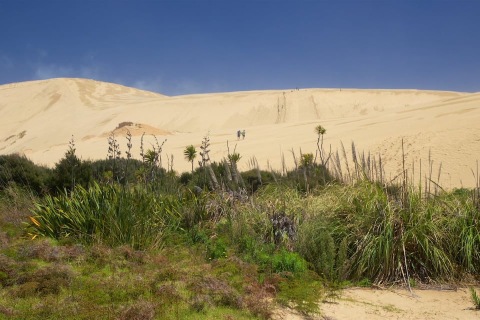 A desert landscape with sand dunes, sparse vegetation, and two people walking in the distance.