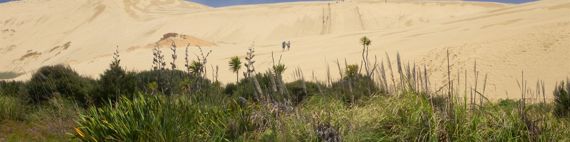 Te Paki Sand Dunes which includes landscape views and desert views