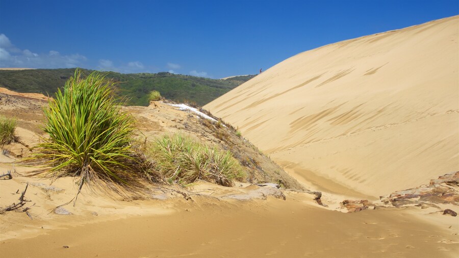 Te Paki Sand Dunes which includes a river or creek and desert views