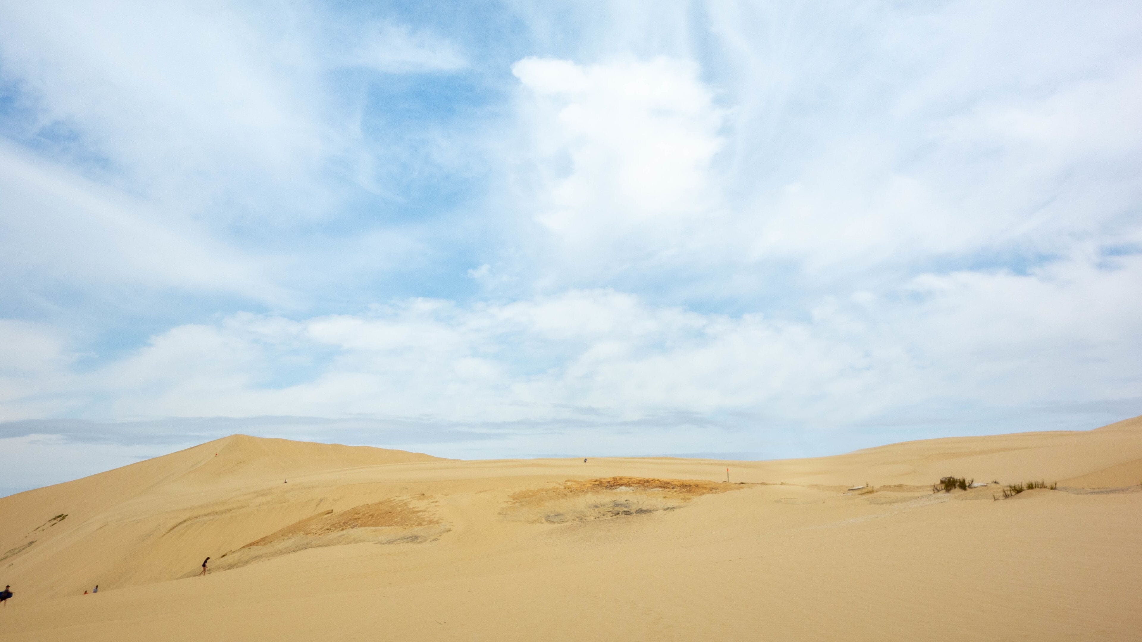 Te Paki Sand Dunes which includes a sandy beach and desert views