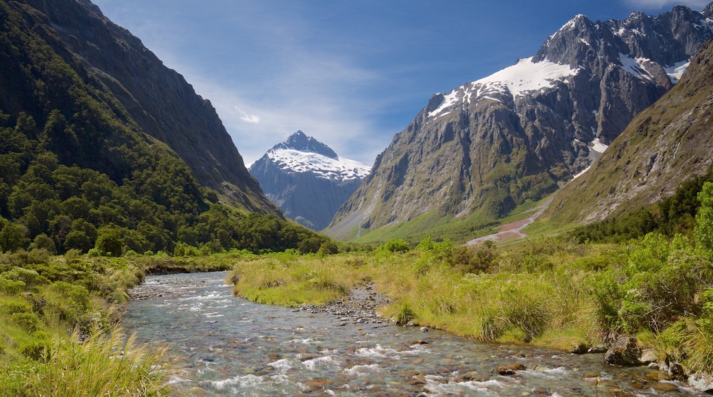 Fiordland National Park som viser fjell og elv eller bekk
