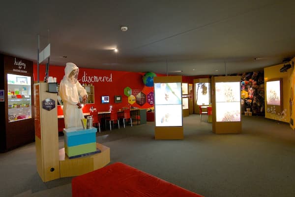 Hawke\'s Bay featuring interior views