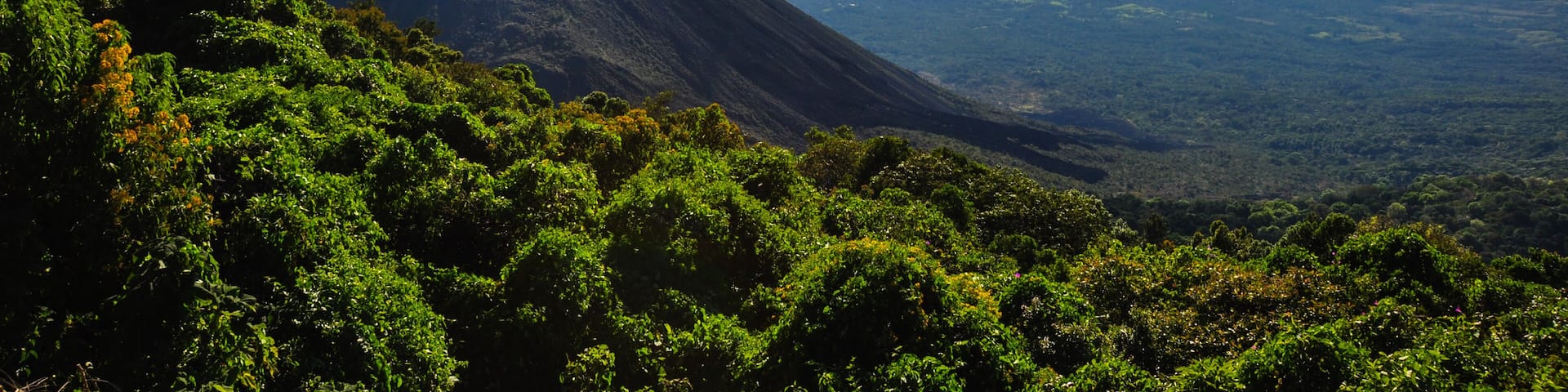 Izalco Volcano from Cerro Verde National Park, El Salvador