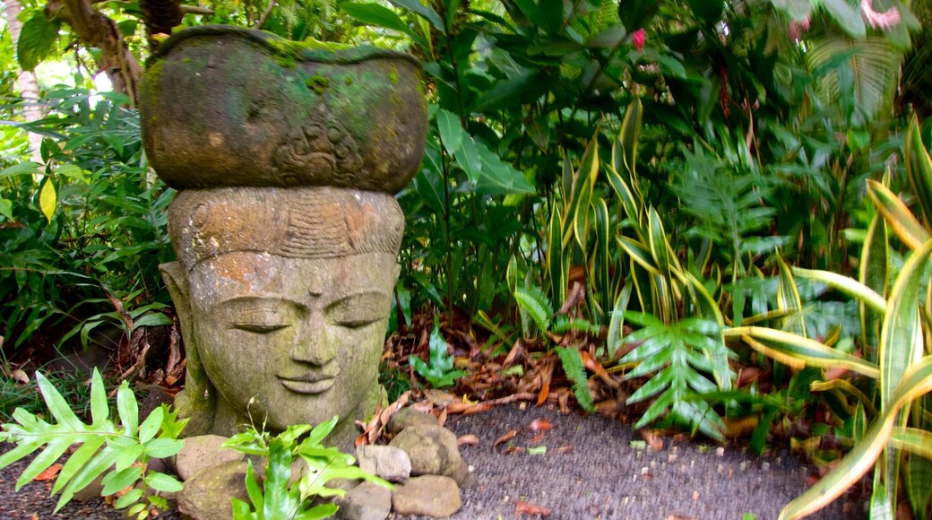 Rarotonga which includes a garden