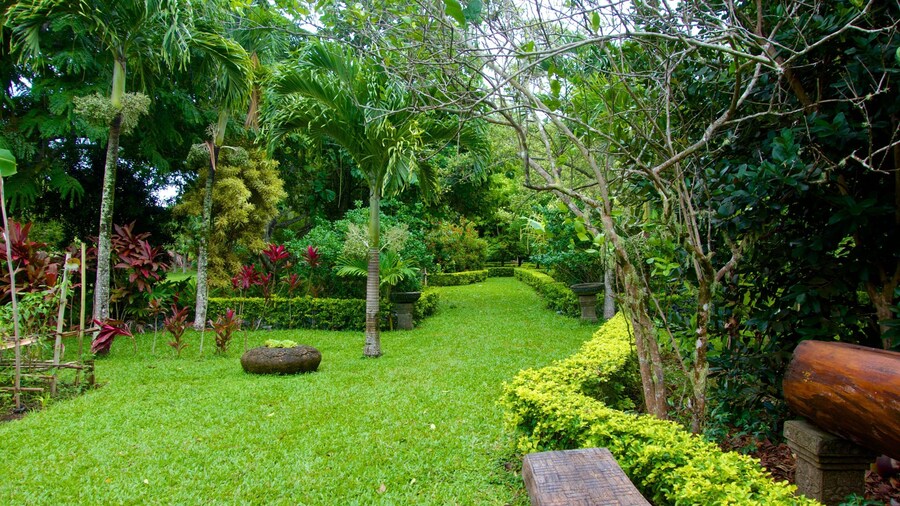 Rarotonga bevat een tuin
