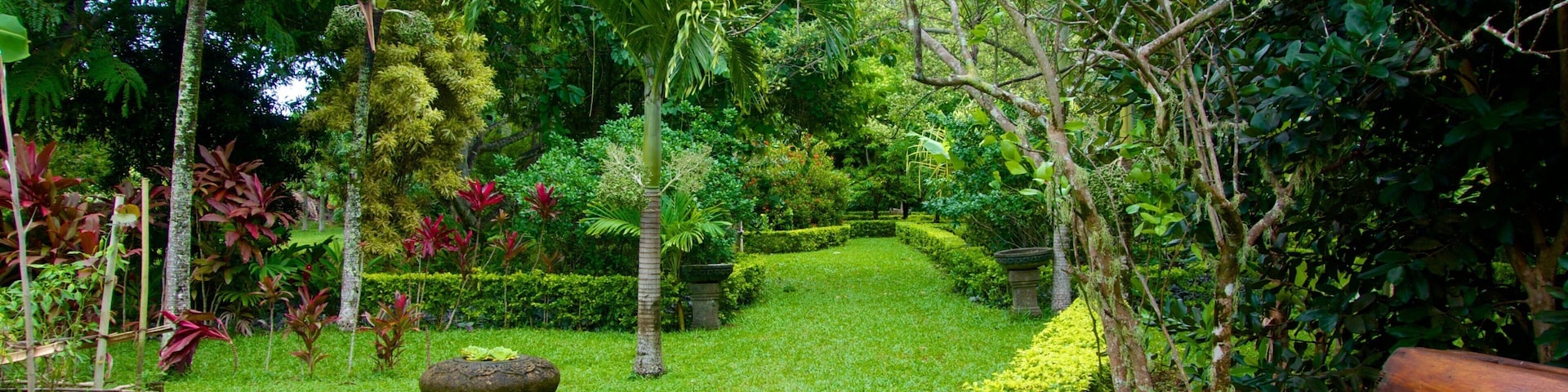 Rarotonga showing a park