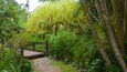 Uma ponte de madeira sobre um caminho de pedra em um jardim exuberante, com folhagem tropical densa e uma palmeira.
