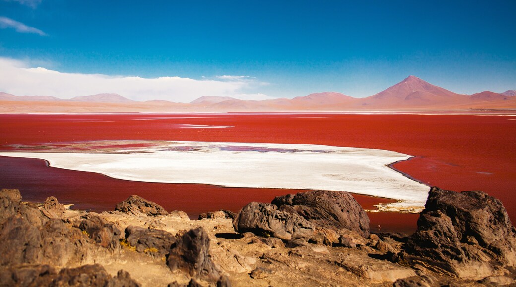 lagoon Colarada in the mountains of Bolivia uyuni