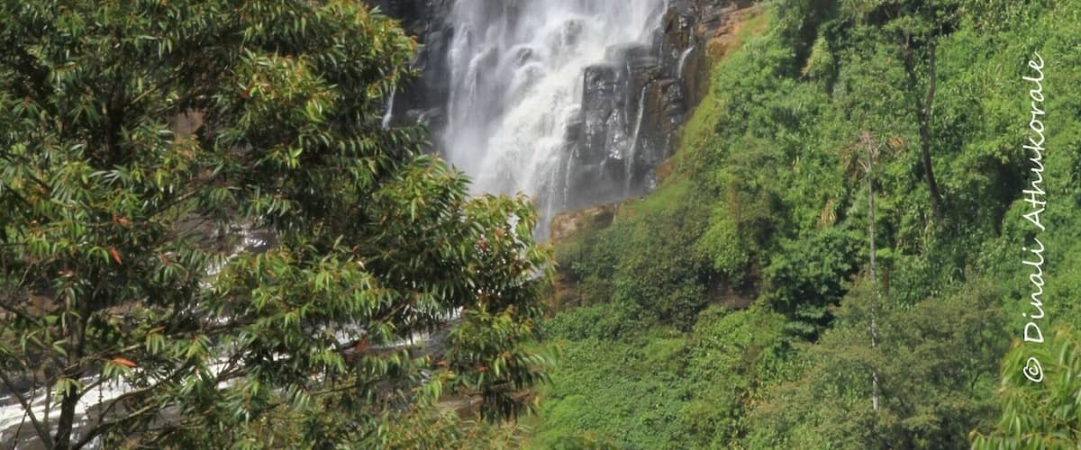 Devon fall near Thalawakelle in #green Central highlands of Sri Lanka.  
Waterfall can be seen at a distance on Hatton- Nuwaraeliya main road right opposite the Mlesna Tea Center. ........However, one can also reach the  top of the falls through Dimbula - Nawalapitiya road after about travelling 700m down the road.....
Dimbula - Nawalapitiya road remains the route with most number of waterfalls in Sri Lanka