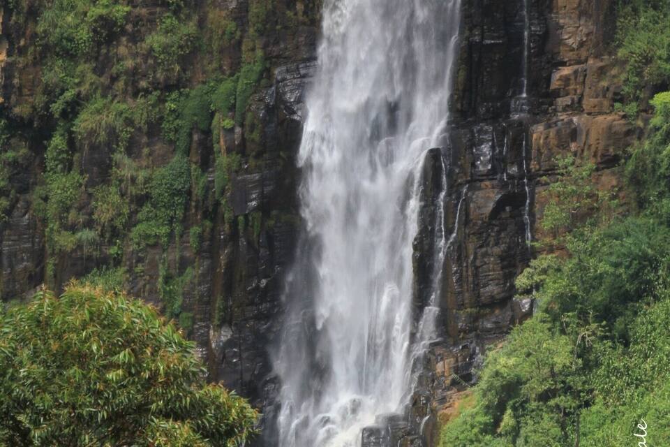 A waterfall cascading down a rocky cliff surrounded by lush greenery.