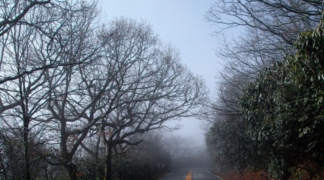 This is a place where the trail crosses the main road going up.
When I got up in the morning I wanted to go for a hike. I didn't have a set place to go to, and I didn't really have any desire to find photographs. Because, the cloud cover was so low, I decided to park at the base of Georgia's tallest mountain. Brasstown Bald, and hike to it's nearly 5,000 ft. peak. There sits a visitor center. By the time I got there around 12 PM, it was a balmy 34 degrees and very windy. As you can tell, the cloud cover was also there. It was incredible walking up the mountain as clouds passed by. Up at the top clouds would cross the mountain and occasionally you could see to other peaks around and down to the valleys below. about 30 minutes later as I was hiking down the mountain the skies cleared up and it became a beautiful day.
If you want to hike up the mountain there are trails at the base where the sign is and a small parking lot. Up at the upper parking lot it's a 6/10 mile hike to the top that feels more like steps.