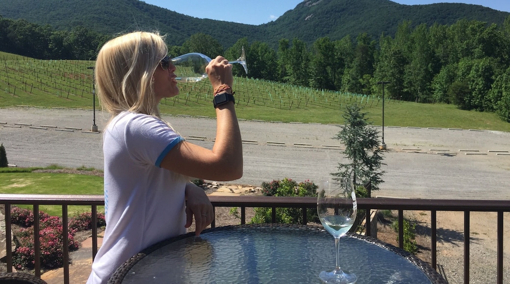 Located near Helen, Georgia, Yonah Mountain Vineyards is a great place to enjoy a refreshing wine surrounded by the Chattahoochee National Forest. Gorgeous brand new venue, good wine, and a very peaceful setting.