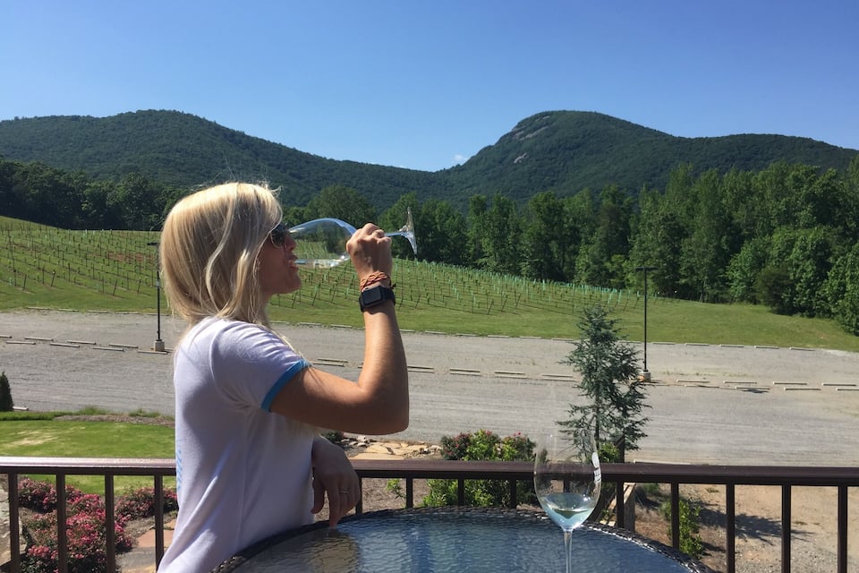 A person sitting at a table with a glass of white wine, overlooking a vineyard and mountains.