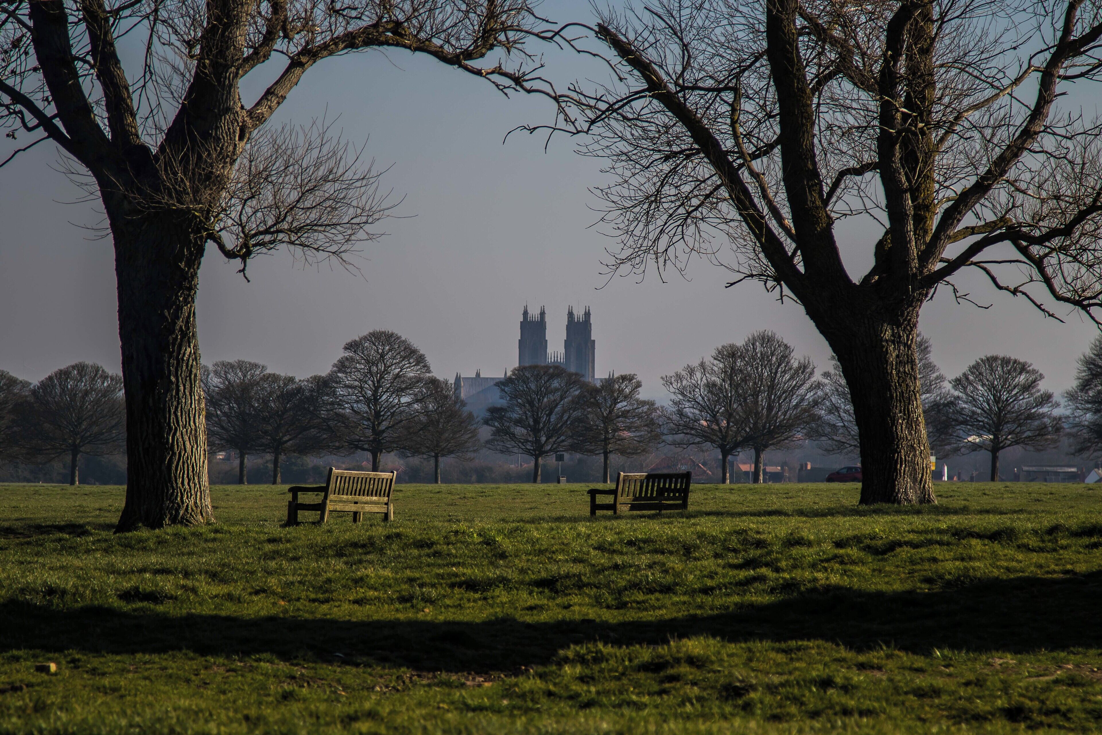 Taken on Beverley Westwood late one afternoon, looking from the westwood to the town center and Beverley Minster. Take a seat for a rest.