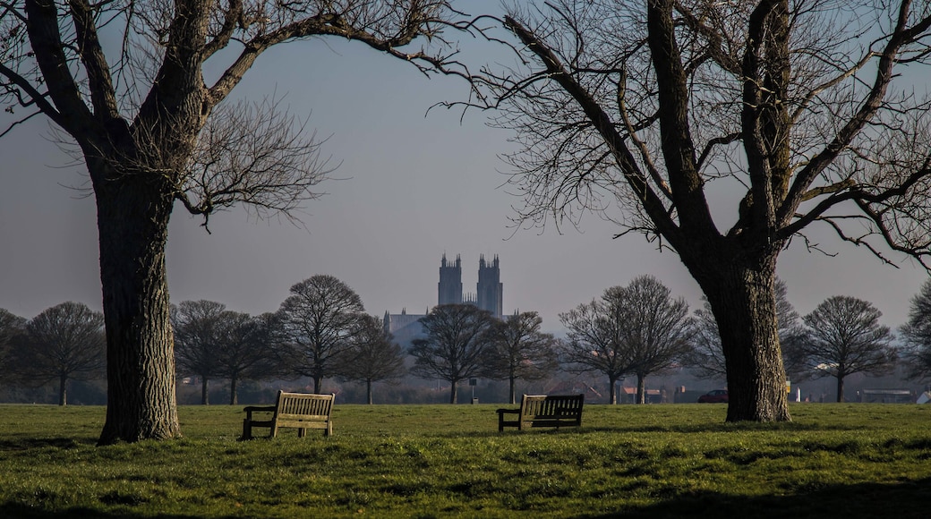Taken on Beverley Westwood late one afternoon, looking from the westwood to the town center and Beverley Minster. Take a seat for a rest.