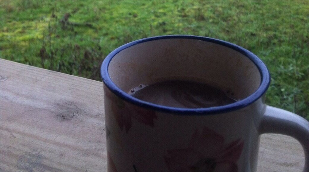 Love this nature reserve. Just outside of north cave. Plenty of hides to sit and watch the birds and there's usually a food van there too.