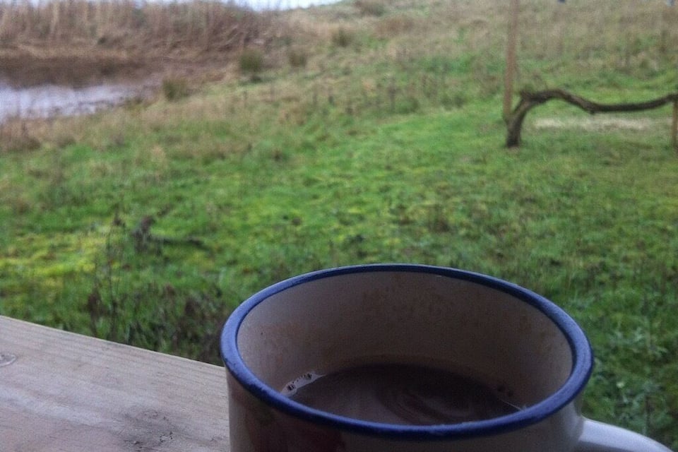 A wooden table with a floral mug in the foreground and a grassy field with a body of water in the background.