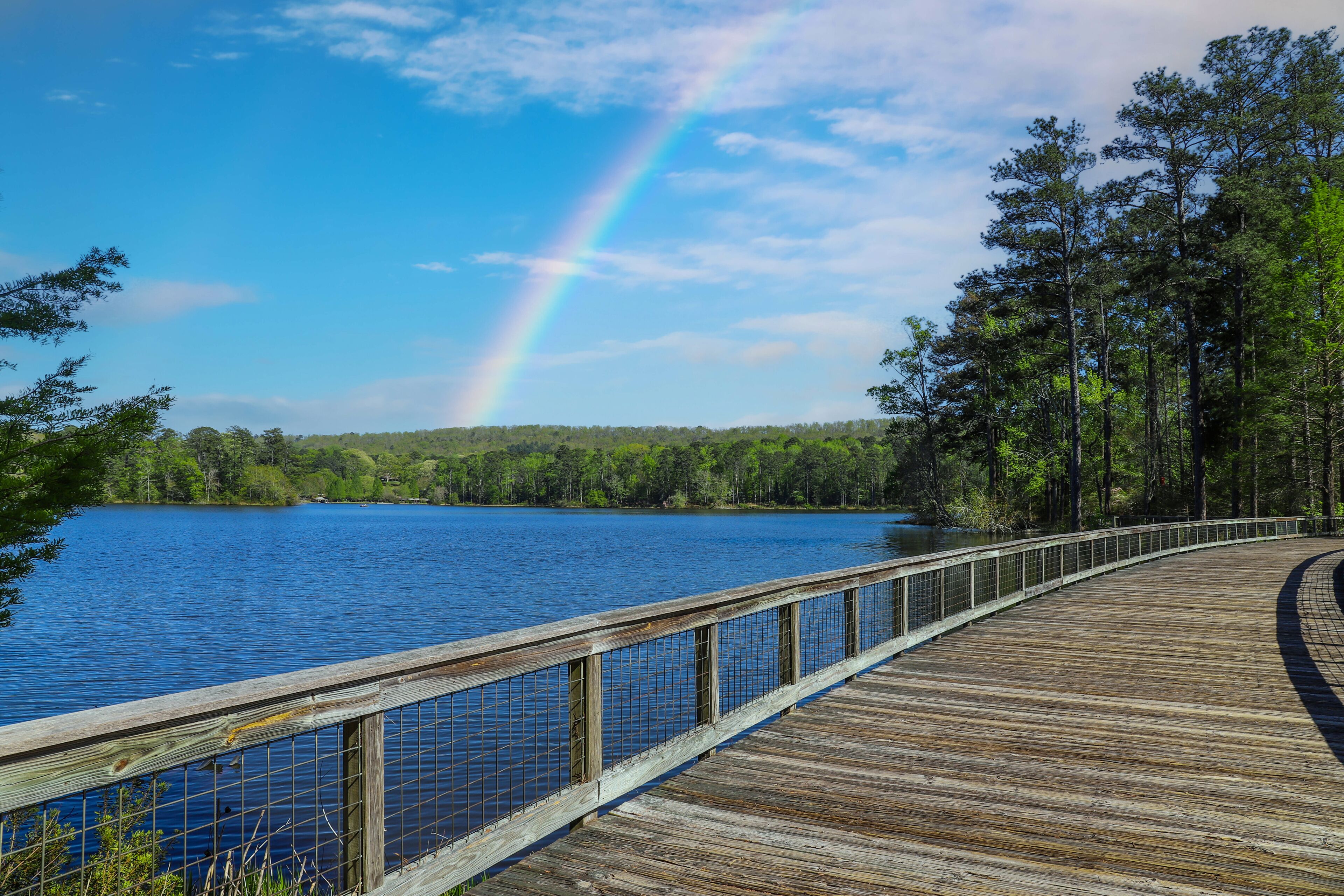 a long winding brown wooden bridge over a blue rippling lake surrounded by lush green trees and plants with blue sky, clouds and a rainbow in the sky at Callaway Gardens in Pine Mountain Georgia USA