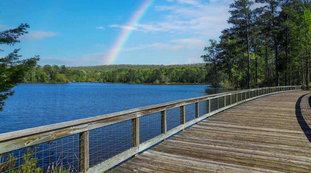 a long winding brown wooden bridge over a blue rippling lake surrounded by lush green trees and plants with blue sky, clouds and a rainbow in the sky at Callaway Gardens in Pine Mountain Georgia USA