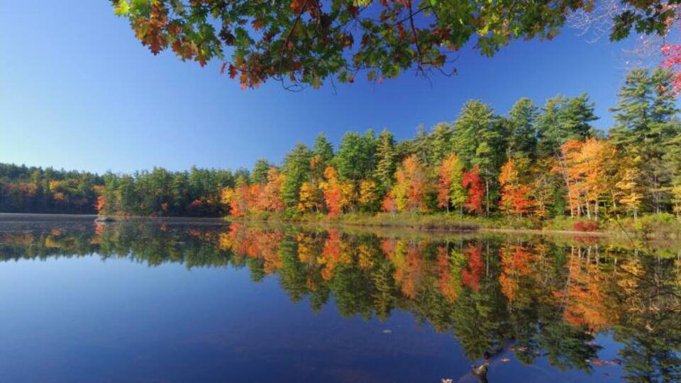 A calm lake reflecting colorful autumn trees.