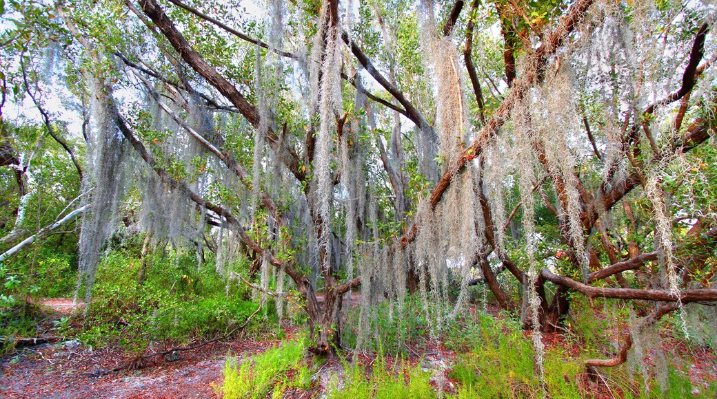 ゼファー パーク