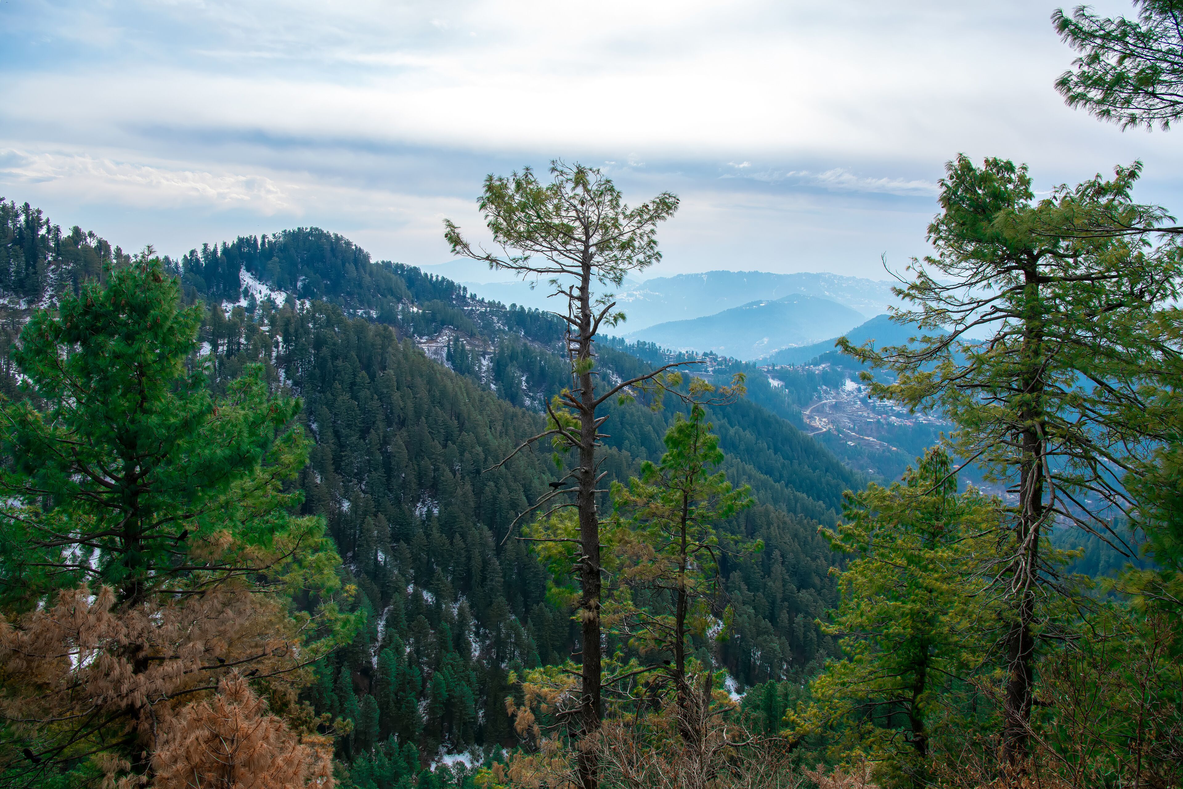  Early morning landscape view of Mall Road Muree Hill