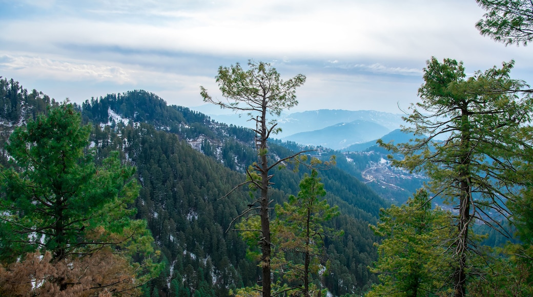 Zona comercial de Mall Road