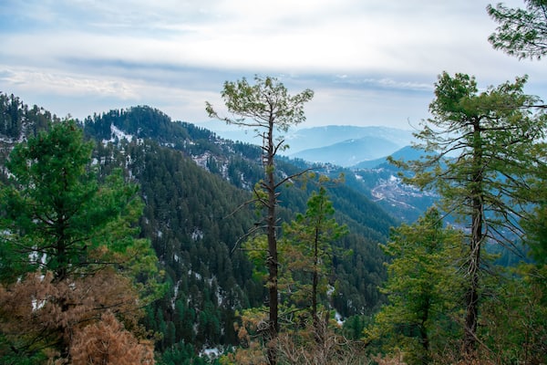 Early morning landscape view of Mall Road Muree Hill