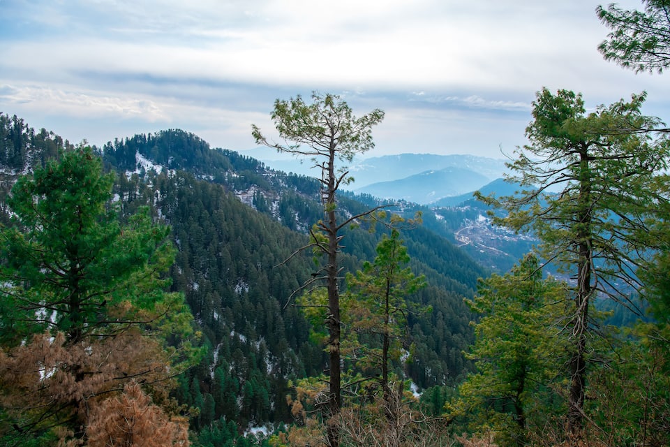 Un paysage montagneux caractérisé par de vastes forêts et des sommets enneigés.