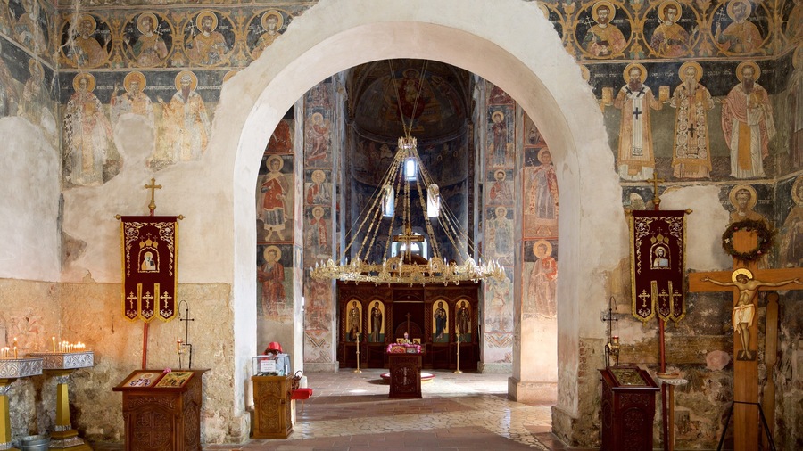 Novi Sad which includes interior views, heritage elements and a church or cathedral