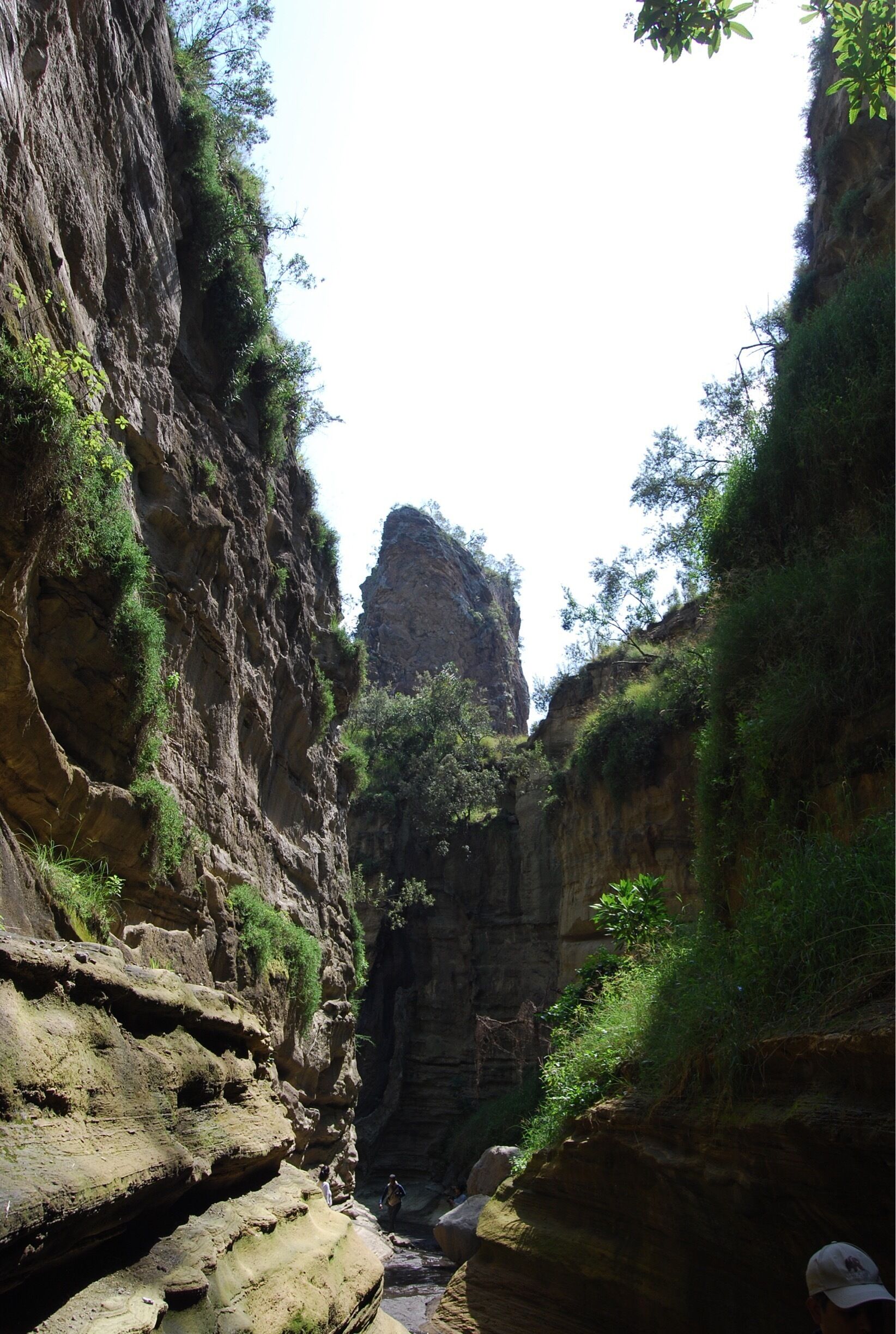 Cycle 12 Kms with zebras and giraffes around and hike 4 kms in canyons to reach Hell's Kitchen in this park. Must see place in Kenya