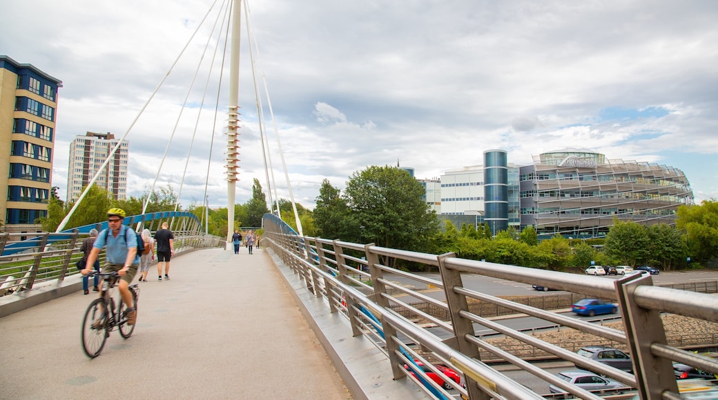 Northumbria University which includes a bridge