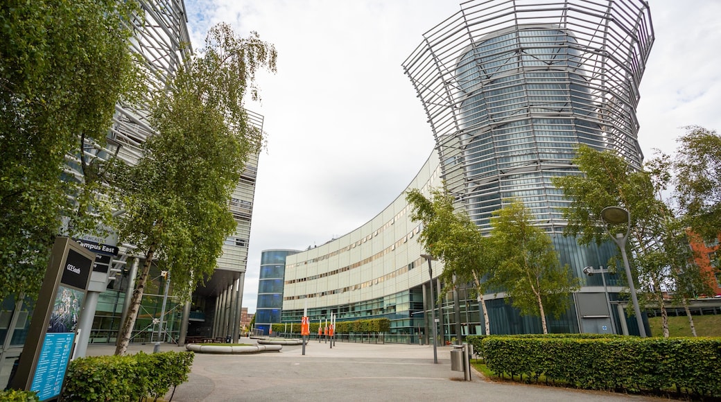 Northumbria University