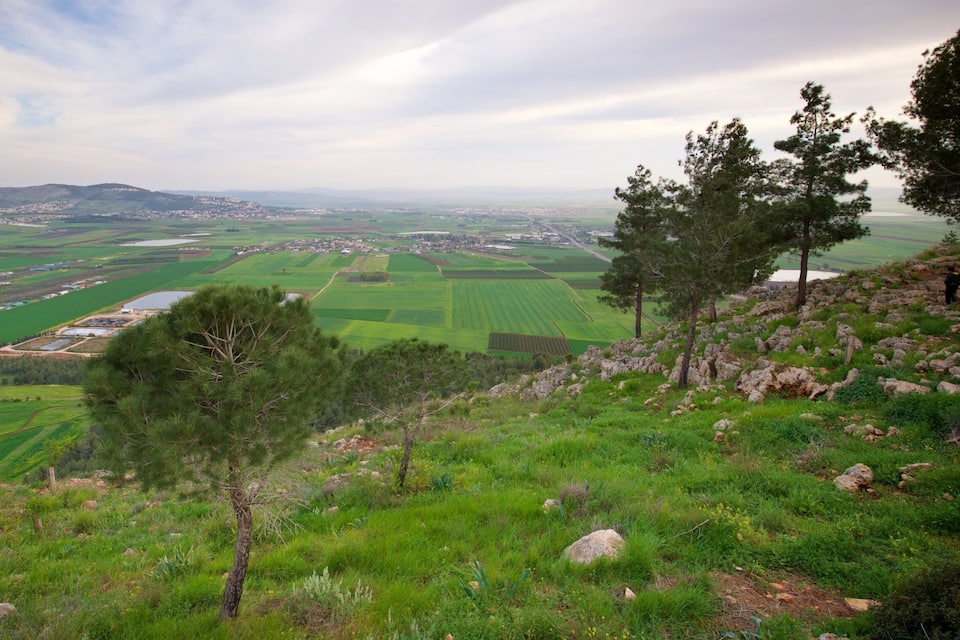 Un paisaje verde con campos, árboles y un pueblo a lo lejos.