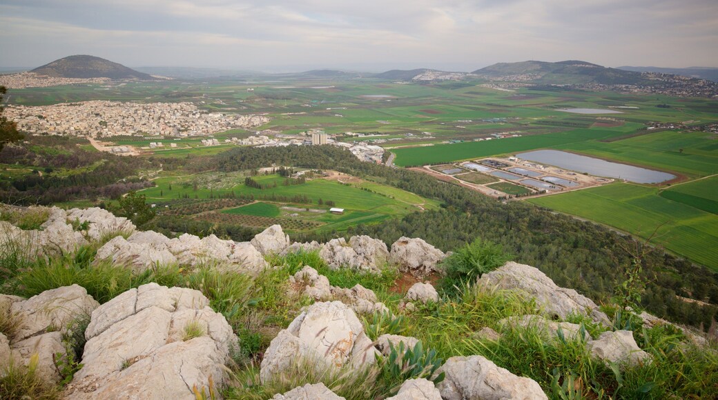 Mount of Precipice which includes tranquil scenes and landscape views