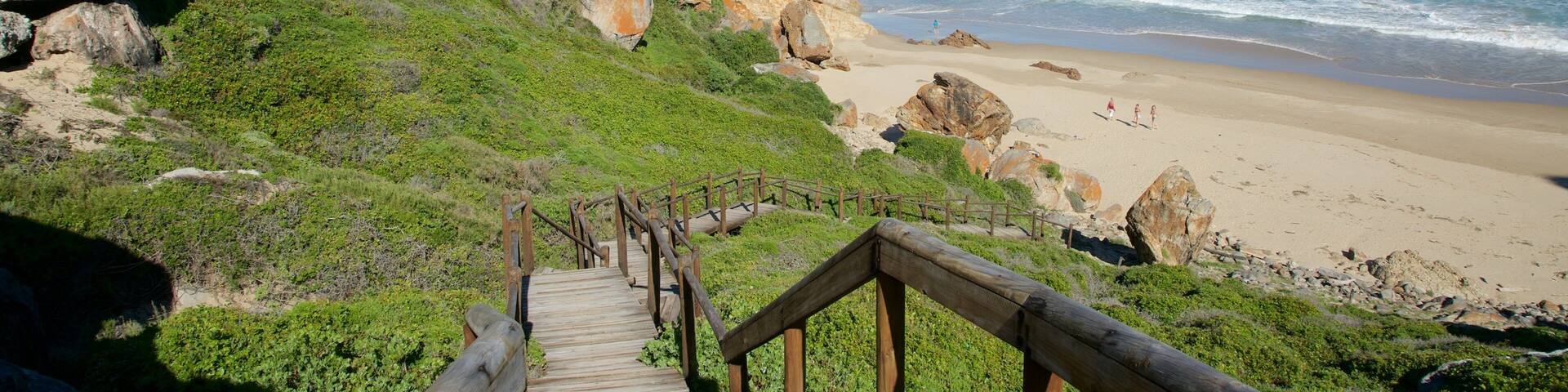 Plettenberg Bay que incluye vistas de una costa, una playa y surf