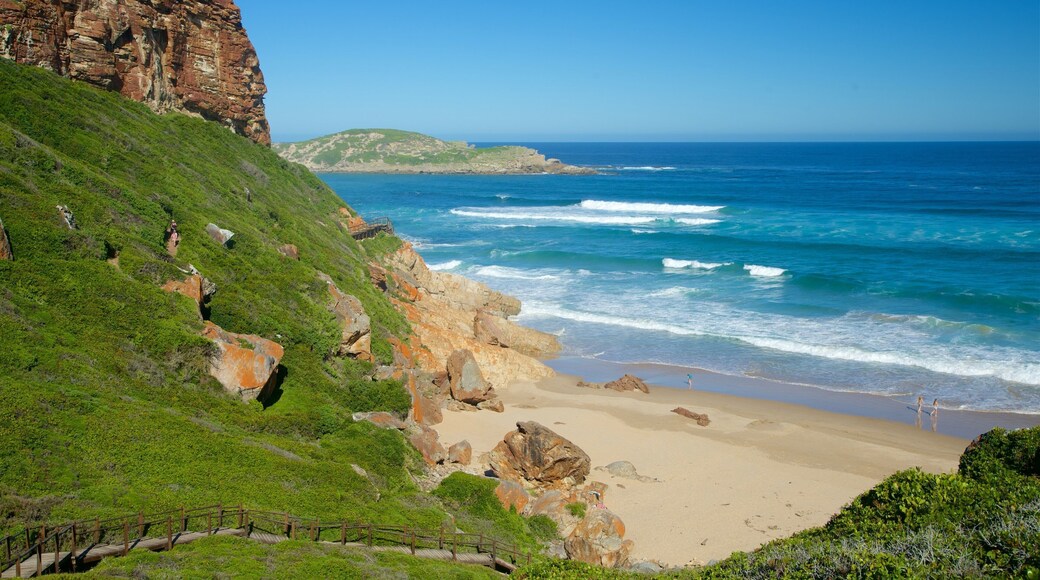 Robberg Nature Reserve mit einem Sandstrand, Brandung und schroffe Küste