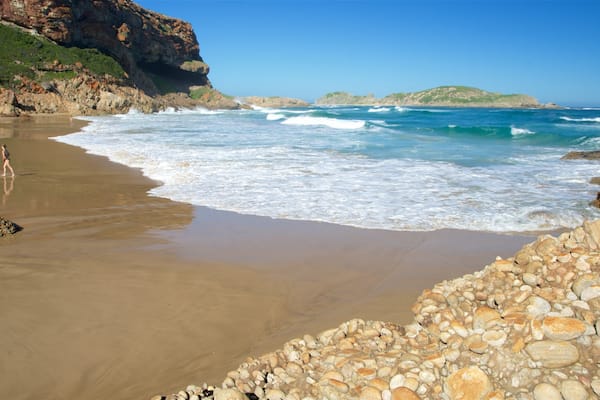 Robberg Nature Reserve som viser en sandstrand, udsigt over kystområde og klippekystlinje