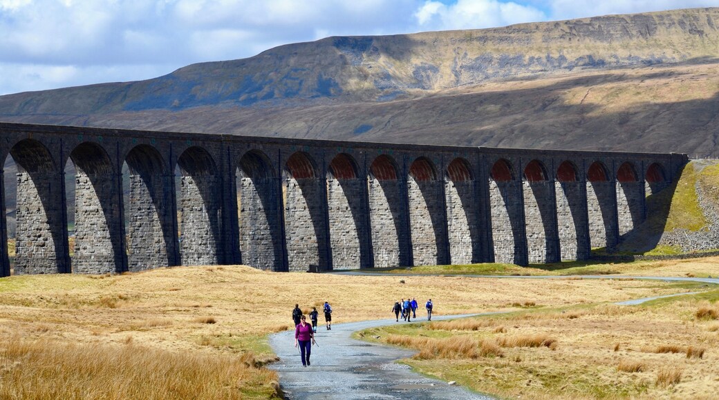 The Ribblehead Viaduct (aka Batty Moss Viaduct), which carries the Settle to Carlisle railway, Yorkshire Dales, UK (Apr 2013).
