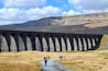 The Ribblehead Viaduct (aka Batty Moss Viaduct), which carries the Settle to Carlisle railway, Yorkshire Dales, UK (Apr 2013).