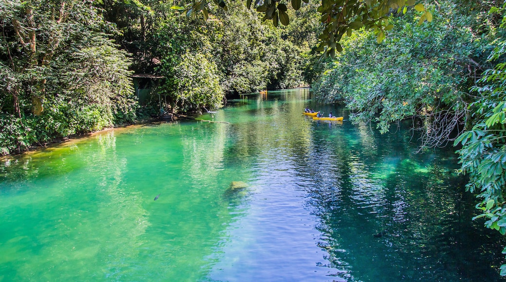 Brazilian people have fun in lake water