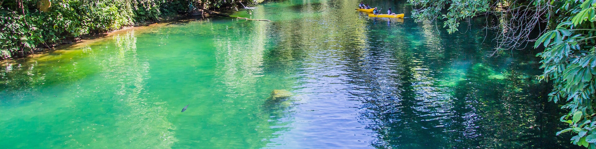 Brazilian people have fun in lake water