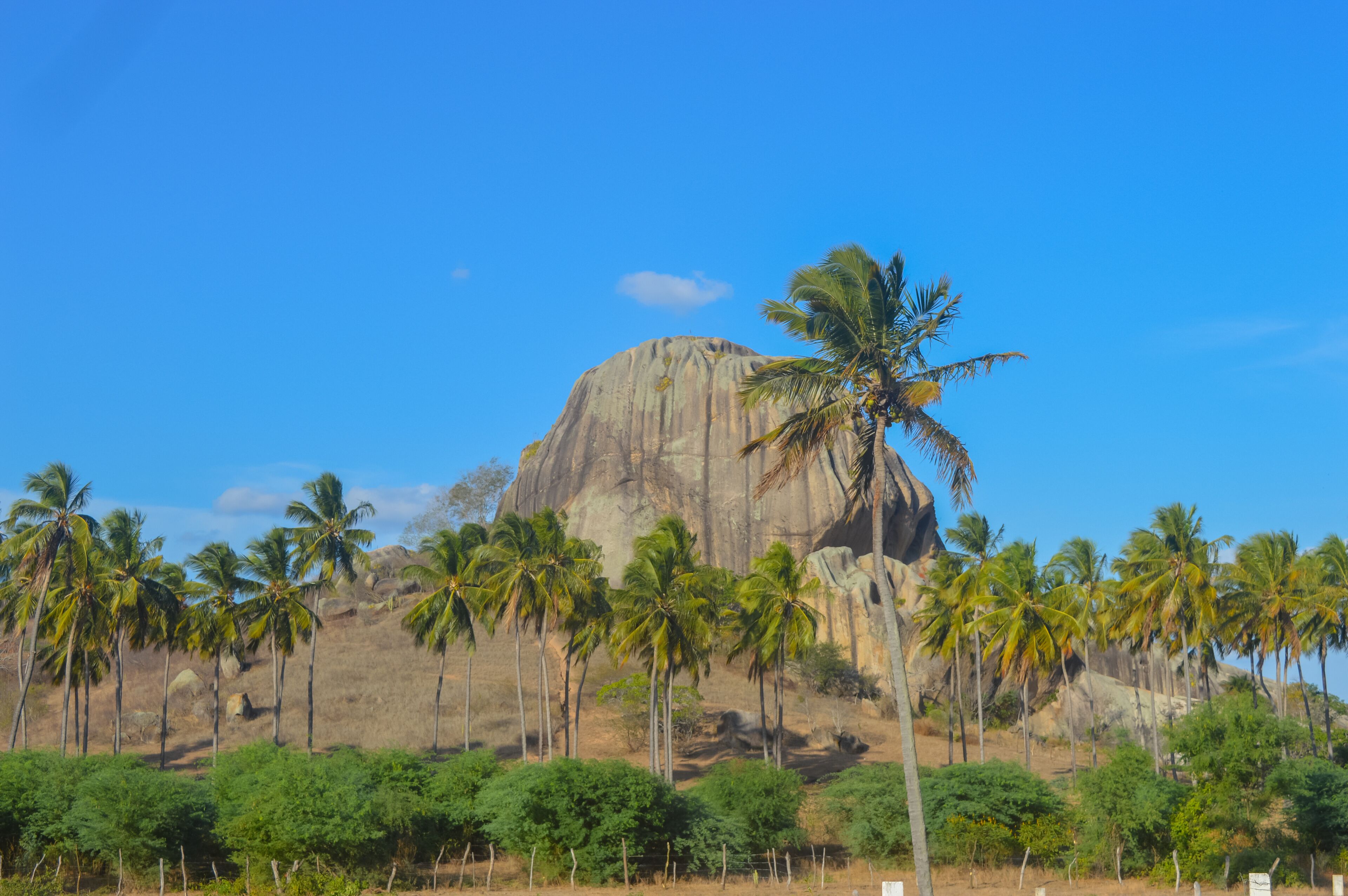 A large rock formation surrounded by palm trees.