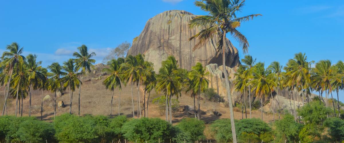 A large rock formation surrounded by palm trees.