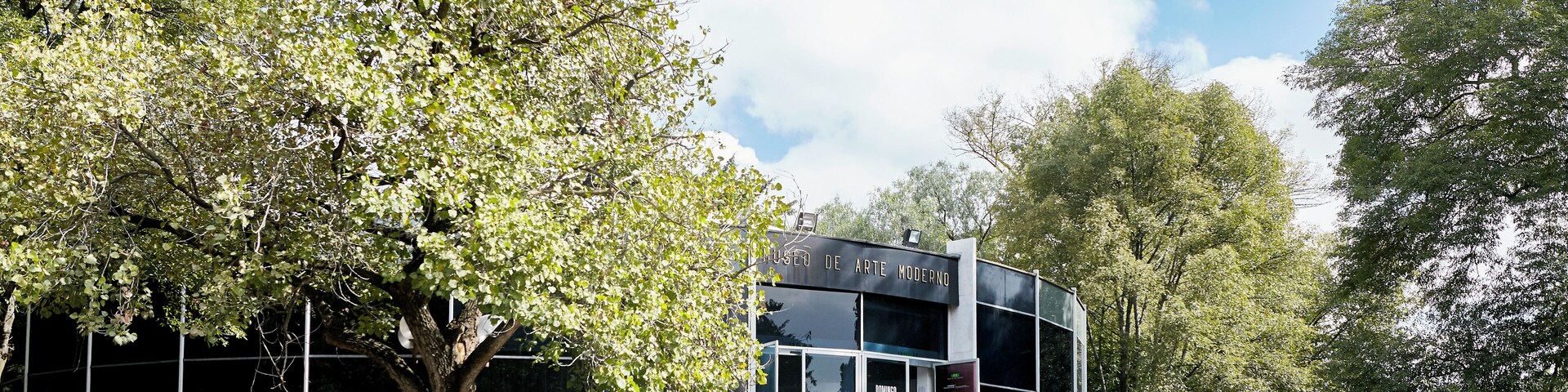 MexicoCity_MuseumofModernArt_553248621563218576_01
