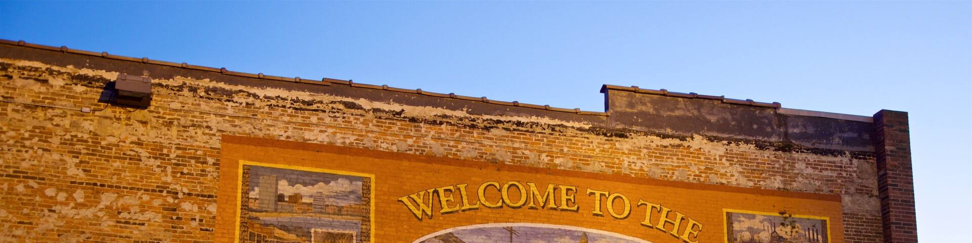 Lake Charles Historic District showing signage
