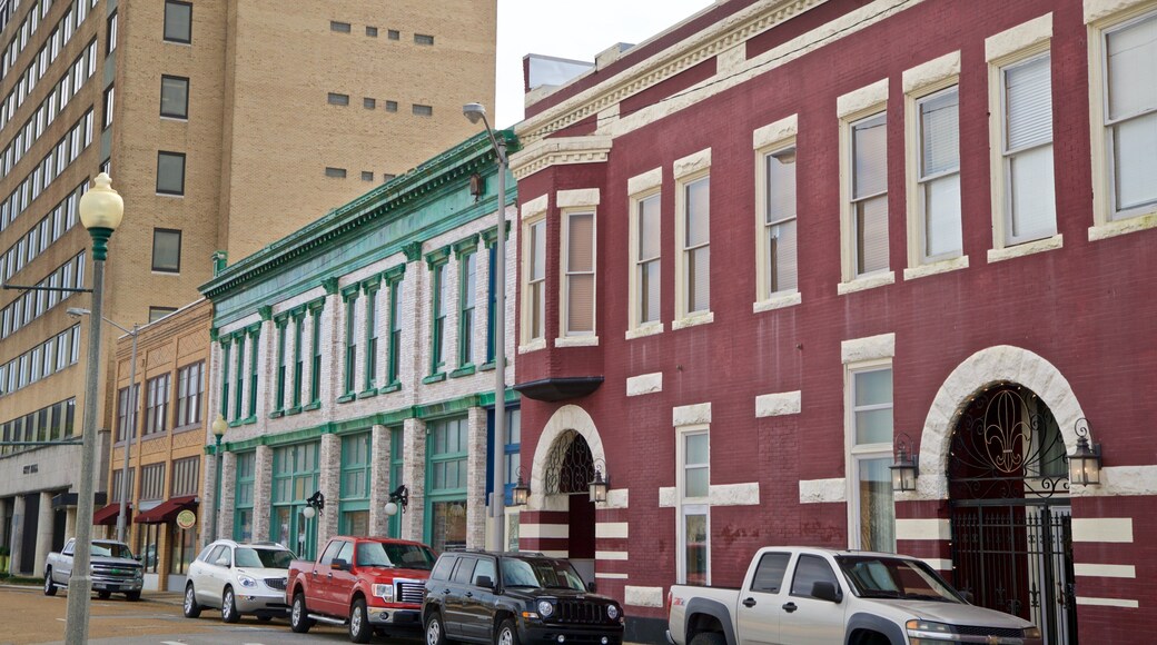 Lake Charles Historic District que incluye una ciudad