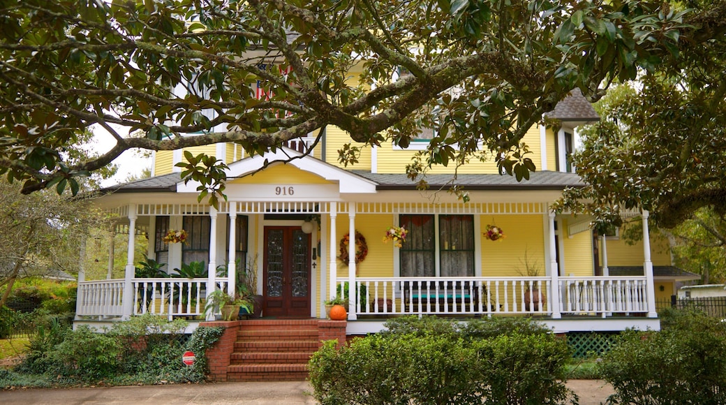Lake Charles Historic District featuring a house