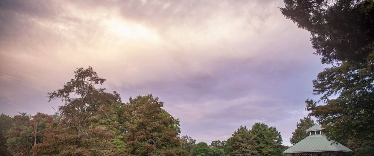Tranquil Early Morning Scene at Girard Park in Lafayette Louisiana