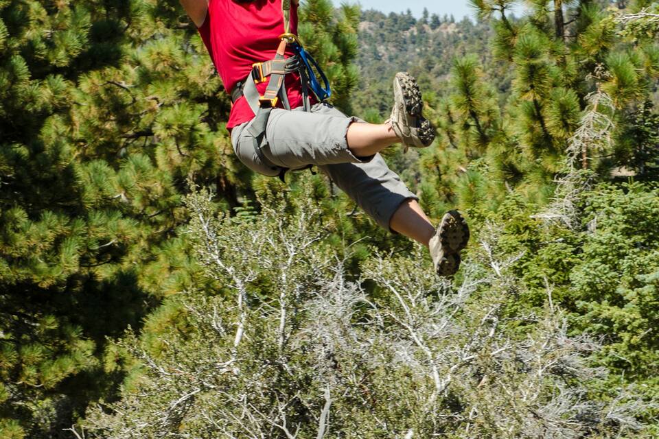 A person ziplining through a forested area with pine trees.
